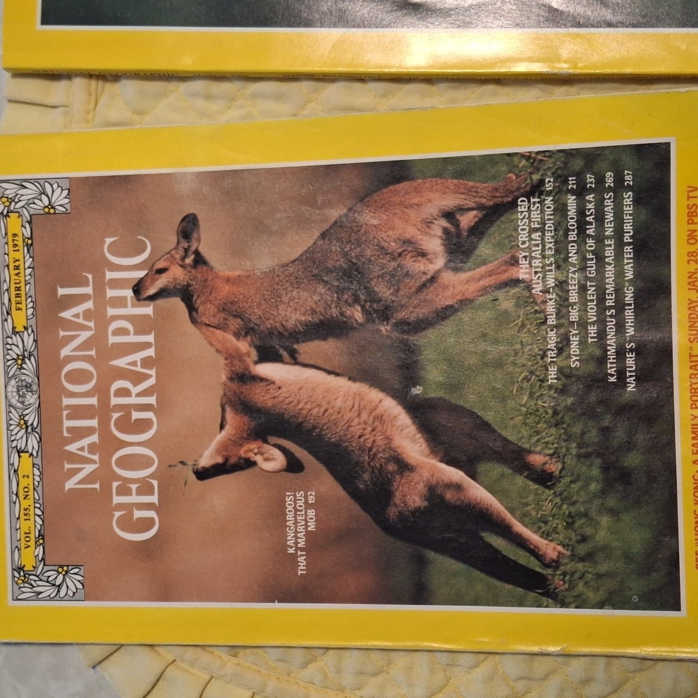 National Geographic Magazine Set - Picture 2 of 5